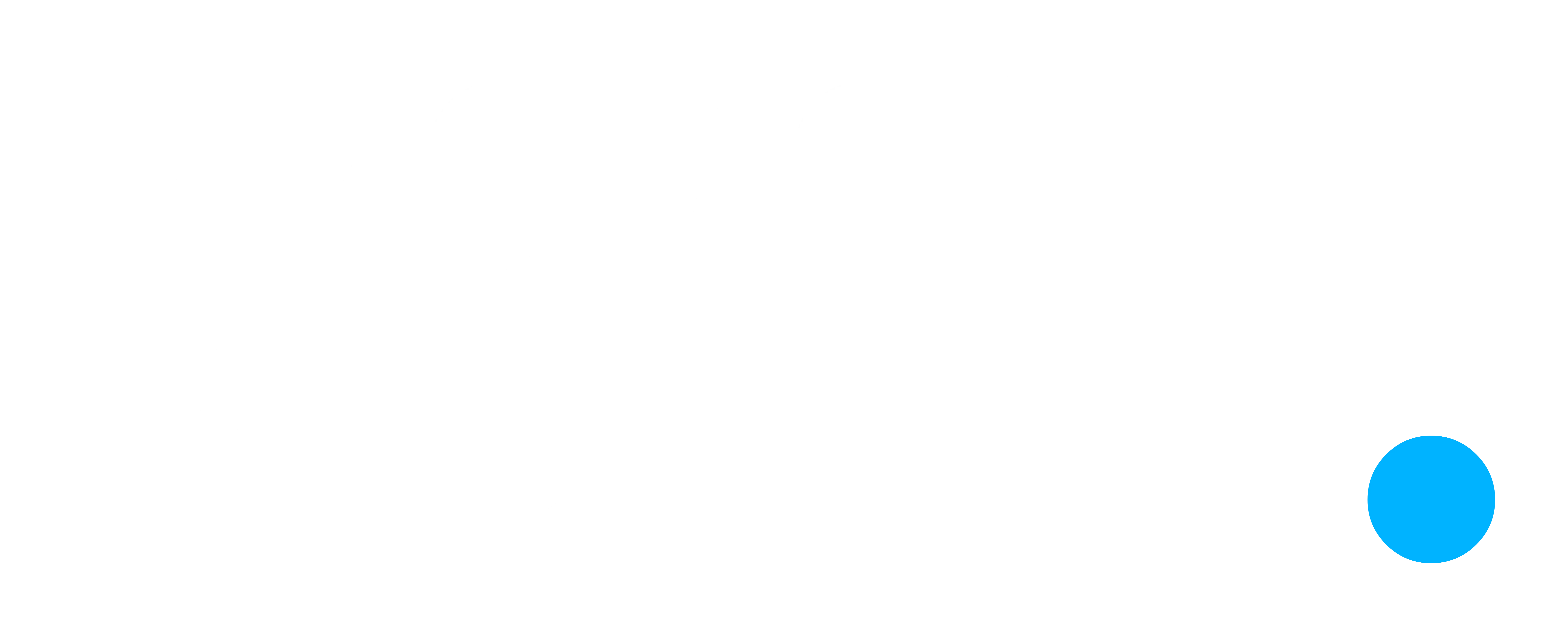 LOGO PROVOK